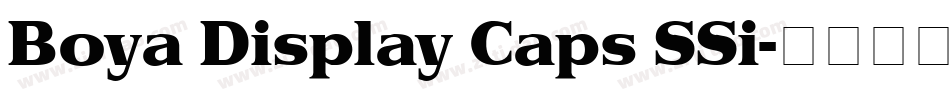 Boya Display Caps SSi字体转换